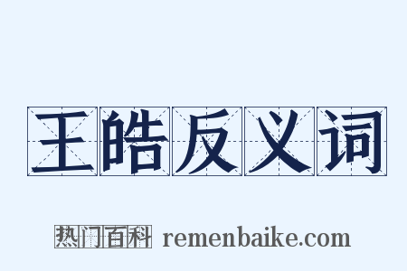 王皓反义词是什么意思的图片
